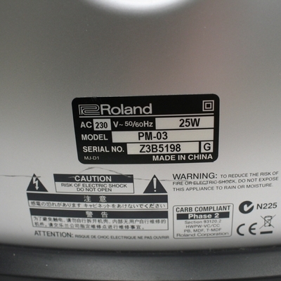 roland pm-03 monitor 25 watt