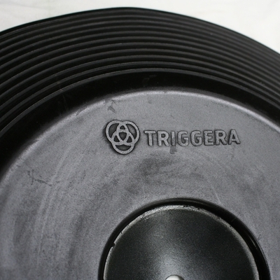 triggera 14 inch china