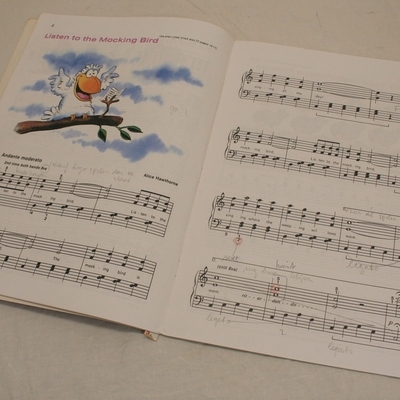 muziekboek 21 fun book entertaining solo